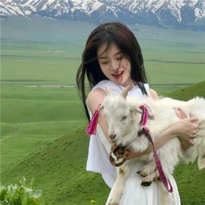 很久没有敬我了你