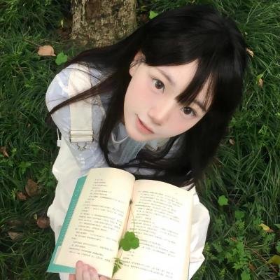 野生动物：无与伦比的有袋动物-树袋熊